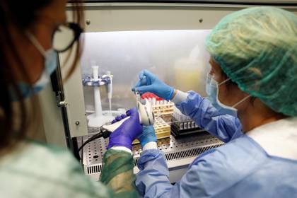 Trabajadores médicos analizan una muestra de laboratorio en busca de coronavirus (REUTERS/Yara Nardi)