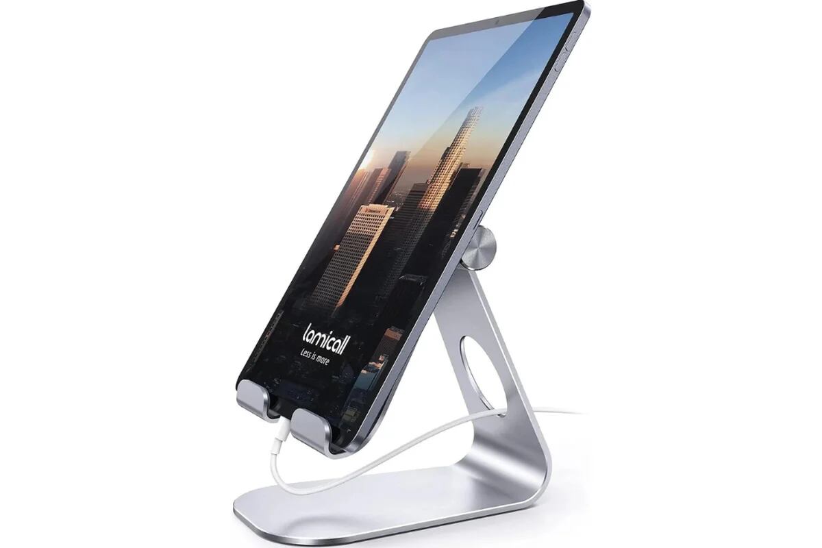 iPad: 5 accesorios que no sabías que necesitabas para tu tableta –  FayerWayer