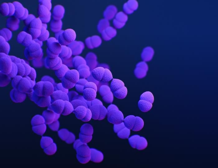 This is a medical illustration of drug-resistant, Streptococcus pneumoniae bacteria, presented in the Centers for Disease Control and Prevention (CDC) publication entitled, Antibiotic Resistance Threats in the United States, 2019 (AR Threats Report). See the link below for more on the topic of antimicrobial resistance (AR).