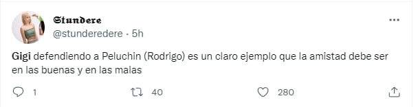 Gigi Mitre es aplaudida por defender a Peluchín.