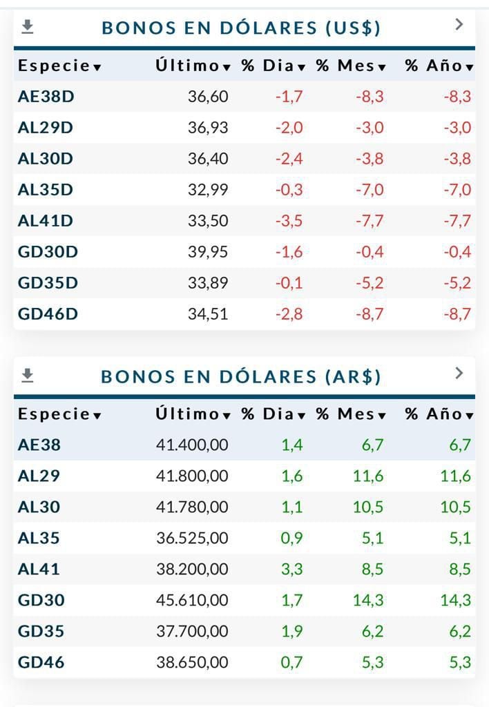 Bonos en dólares 08012024