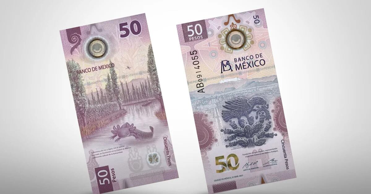 50 페소 지폐는 2021 년 최고의 디자인으로 수여되었습니다. - Infobae