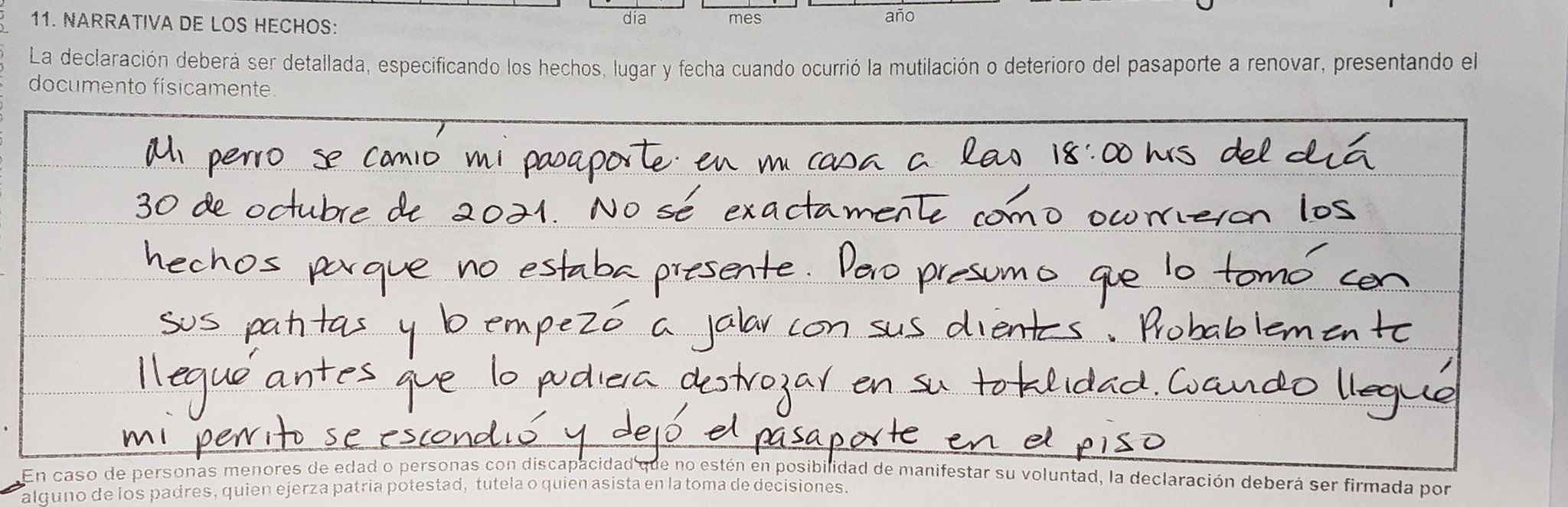 Tras este post, el usuario Javier Márquez posteó otro tuit en donde explica que la SRE emitió un nuevo y “delicioso” pasaporte el mismo día del incidente, además de que el Staff de la oficina de Coyoacán le había enviado algunos regalos a la mascota y agradeció a la Dirección General de Oficinas de Pasaportes. (Twitter/ @JMarquezP)