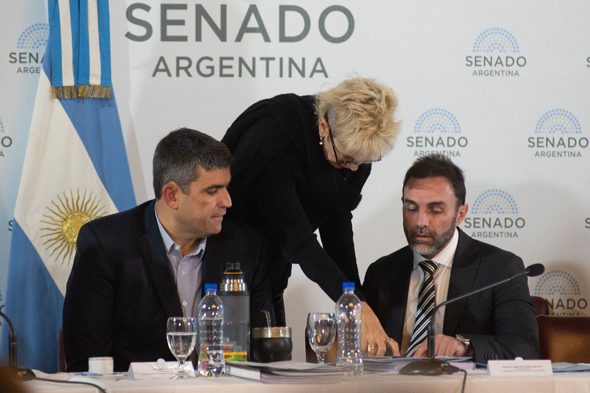 Ley bases en el senado - Plenario de comisiones - 14.05.2024