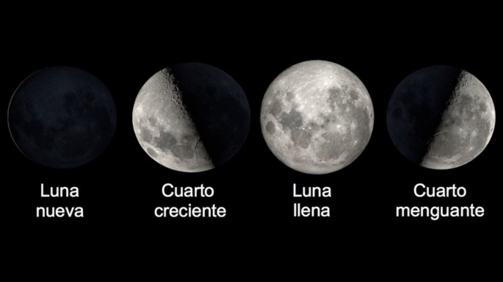 Calendario lunar 2025: las fechas de luna llena y las demás fases para cada  mes - Infobae