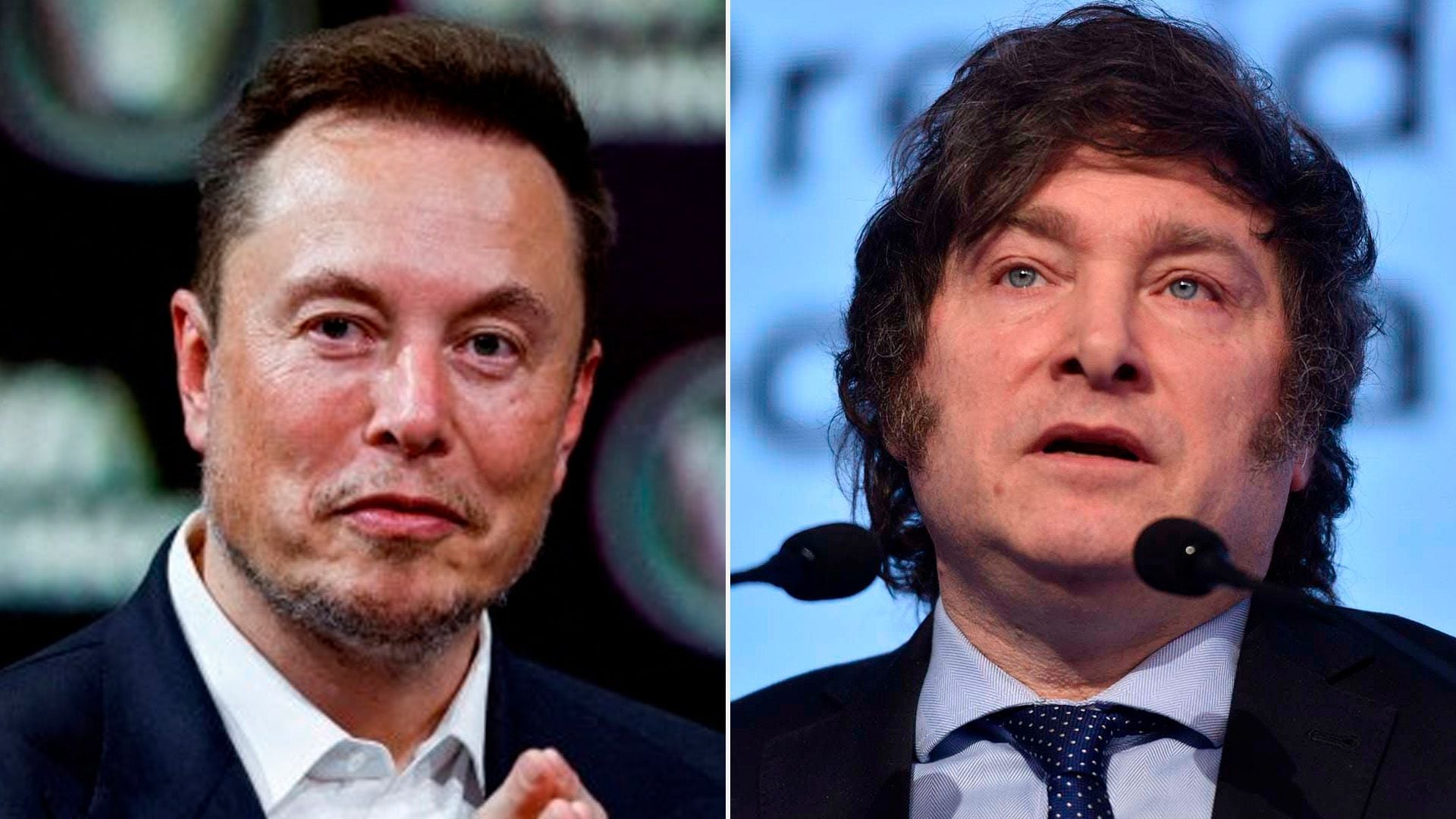 Elon Musk apoyó a Javier Milei: 