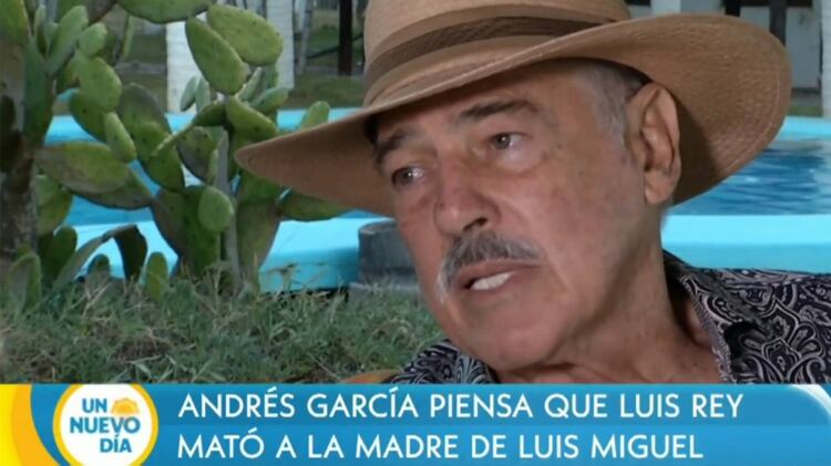 Andrés García hizo fuertes declaraciones sobre Luis Miguel (Captura Un Nuevo Día)