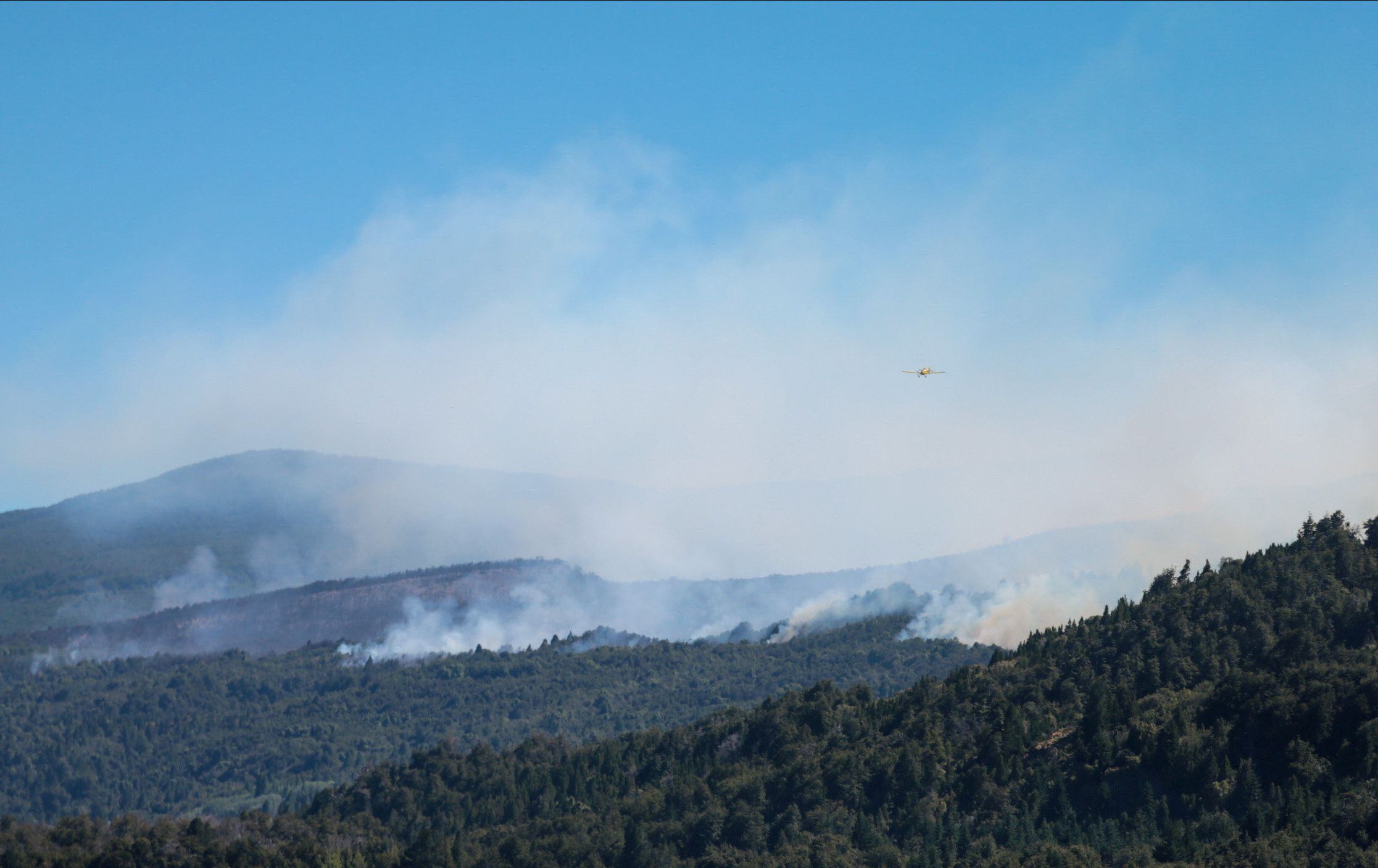 Ya son más de mil hectáreas las afectadas por las llamas en el Parque Nacional Los Alerces 