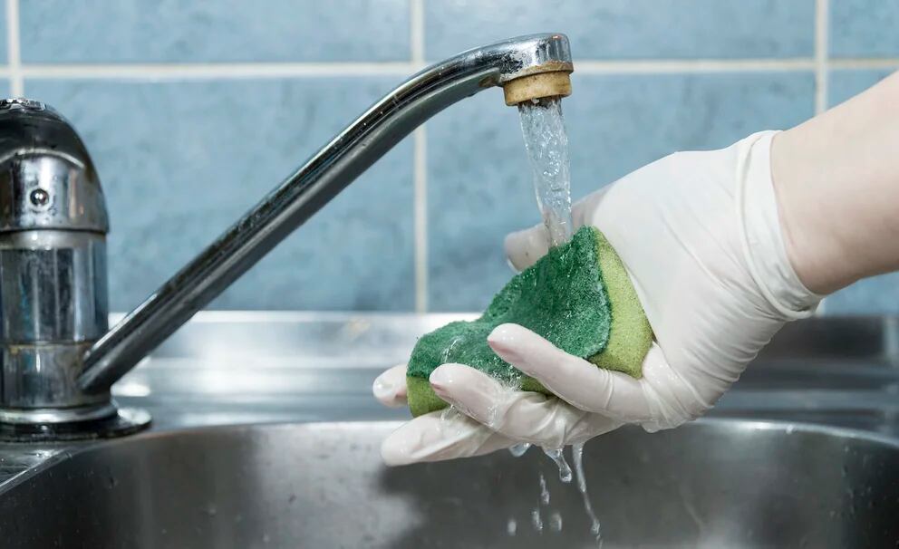 Tu esponja de cocina es un caldo de cultivo de gérmenes (y lavarla con  jabón puede agravar el problema) - BBC News Mundo