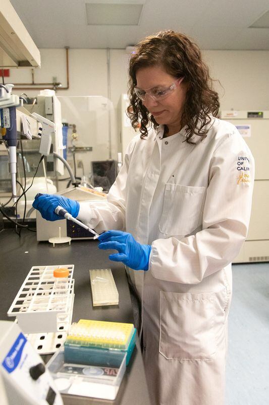 La genetista Karen Miga en un laboratorio, utilizado en una investigación que involucra al cromosoma Y humano, en la Universidad de California, en Santa Cruz, California, EEUU, (UC Santa Cruz/Distribuida vía REUTERS)