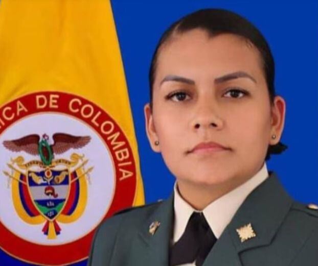 Lo Que Dijo La Liga Colombiana De Autismo Sobre El Hijo De La Sargento Secuestrada Por El Eln