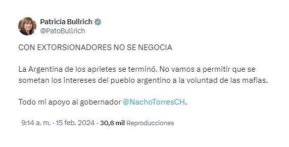 Posteo de Patricia Bullrich en apoyo al gobernador Ignacio Torres