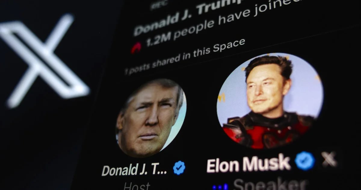 Trump addresses immigration, US economy in virtual chat with Musk in X after tech lag