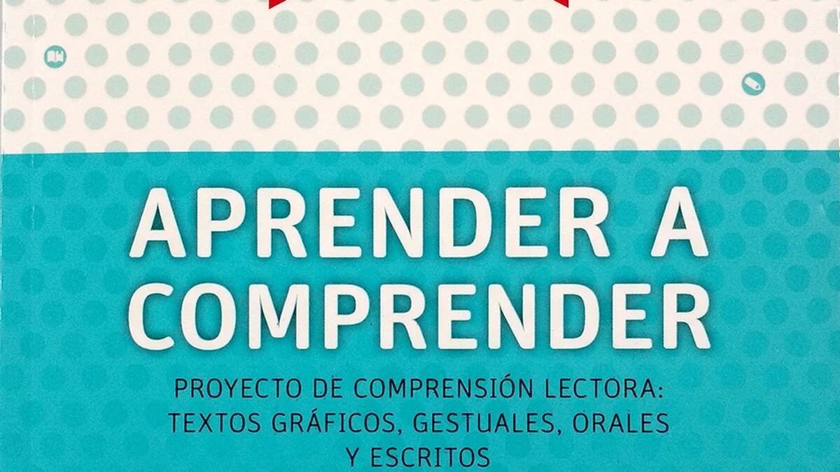 Leer es entender: Así que aprender a leer es aprender a entender lo que  está escrito (Spanish Edition)