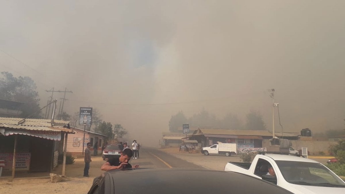 El Incesante Incendio Forestal En San Pablo Ayutla Poblado Oaxaqueño