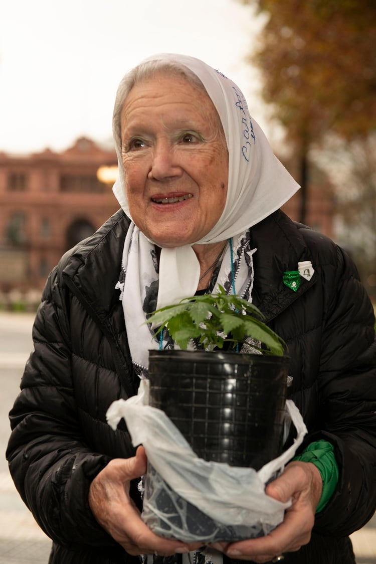 Todo verde: Cortiñas, con su planta de cannabis y el pañuelo por el aborto legal (Gastón Taylor)