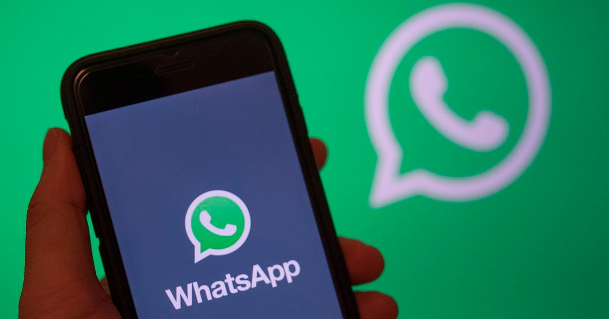 WhatsApp: il trucco per rispondere ai messaggi senza apparire online