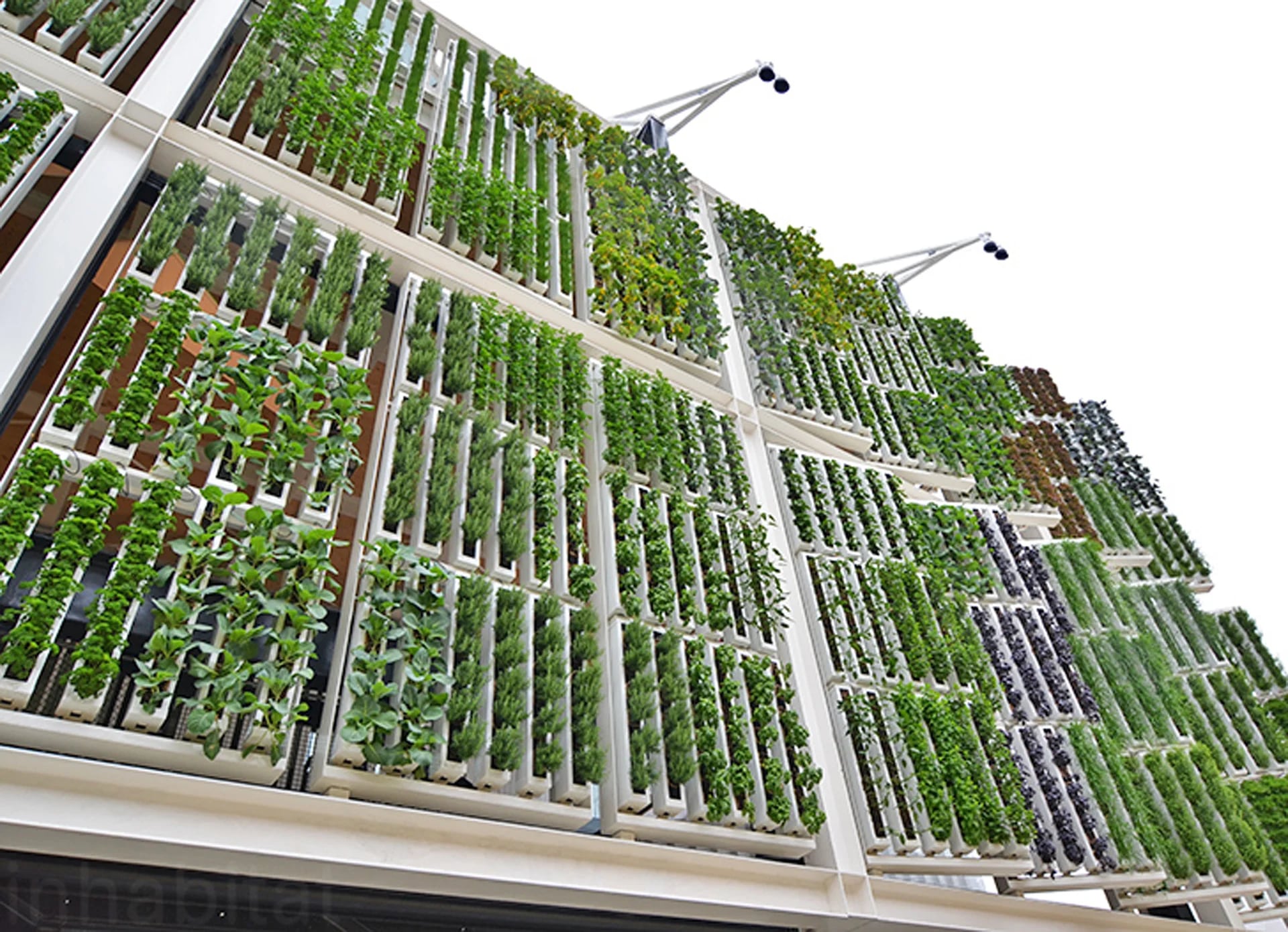 Otra posibilidad radica en edificios vidriados con paneles solares en su cubierta donde cada nivel forma parte de una completo invernadero lleno de vegetales