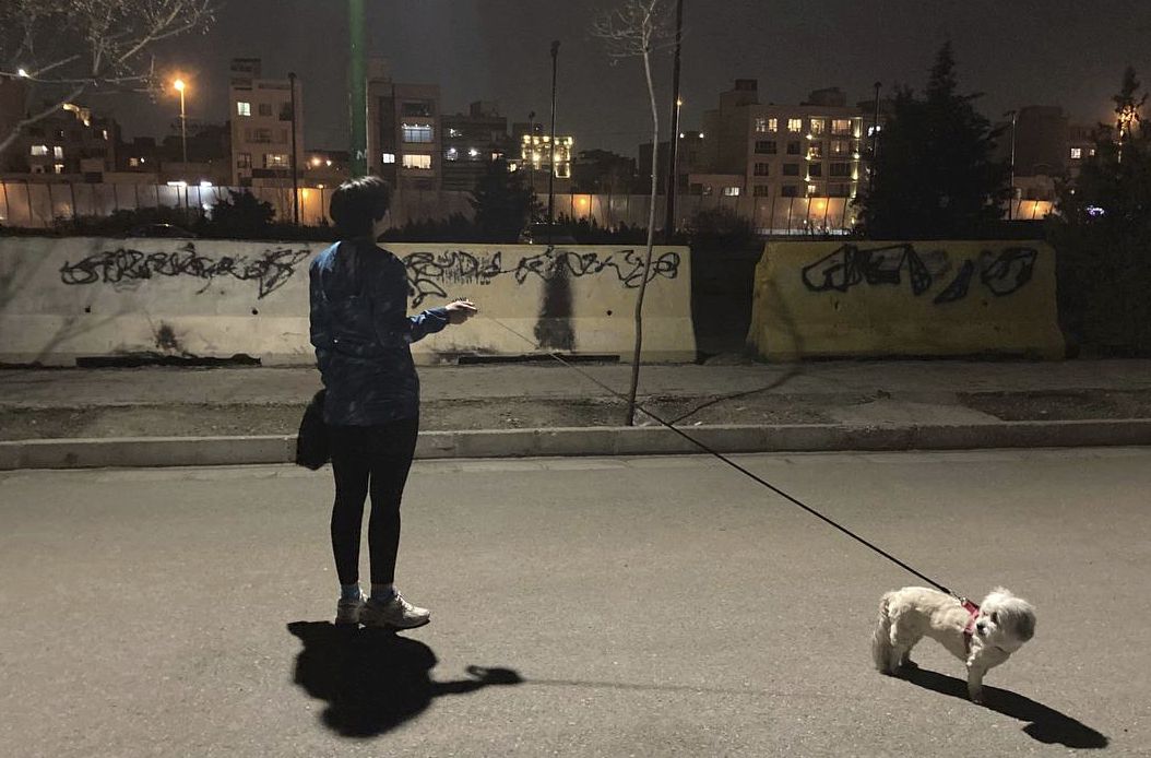 Una mujer iraní sin el velo obligatorio pasea su perro en un parque donde el grafiti contra el régimen está tapado con pintura negra, 6 de marzo de 2023. (AP Foto/Vahid Salemi)