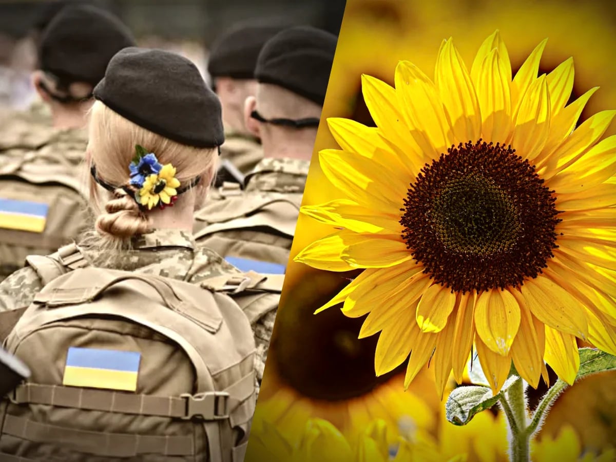 Por qué los soldados ucranianos llevan girasoles mientras luchan contra la  invasión rusa - Infobae