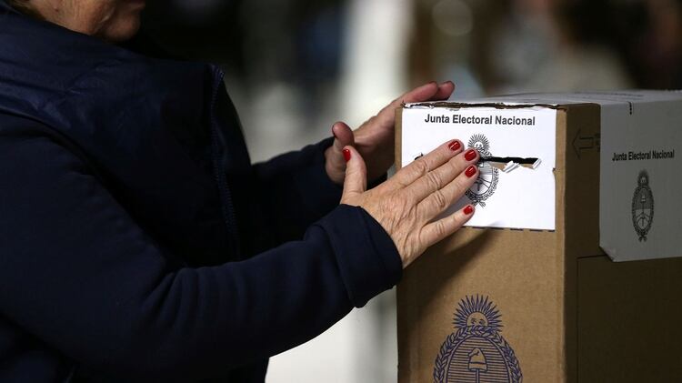 El Frente de Todos se encuentra fuerte de cara a las elecciones generales de octubre  (REUTERS / Agustin Marcarian)