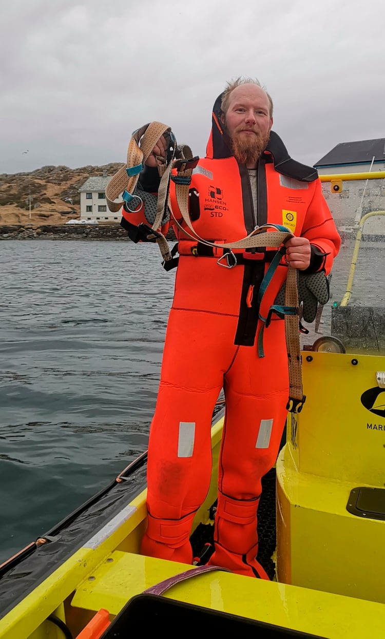 El arnés removido de la ballena tenía la etiqueta “Equipo de San Petersburgo) y señales de un uso intenso (Joergen Ree Wiig/Norwegian Direcorate of Fisheries Sea Surveillance Unit via AP)