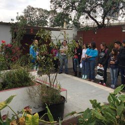 Jardins pour pollinisateurs de Maria del Coro Arizmendi