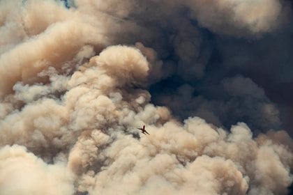 Un avión de extinción de incendios vuela lejos de una columna de ceniza de pirocúmulos después de hacer una caída retardante de una cresta mientras los bomberos continúan combatiendo el incendio de Apple cerca de Banning, California (AFP)