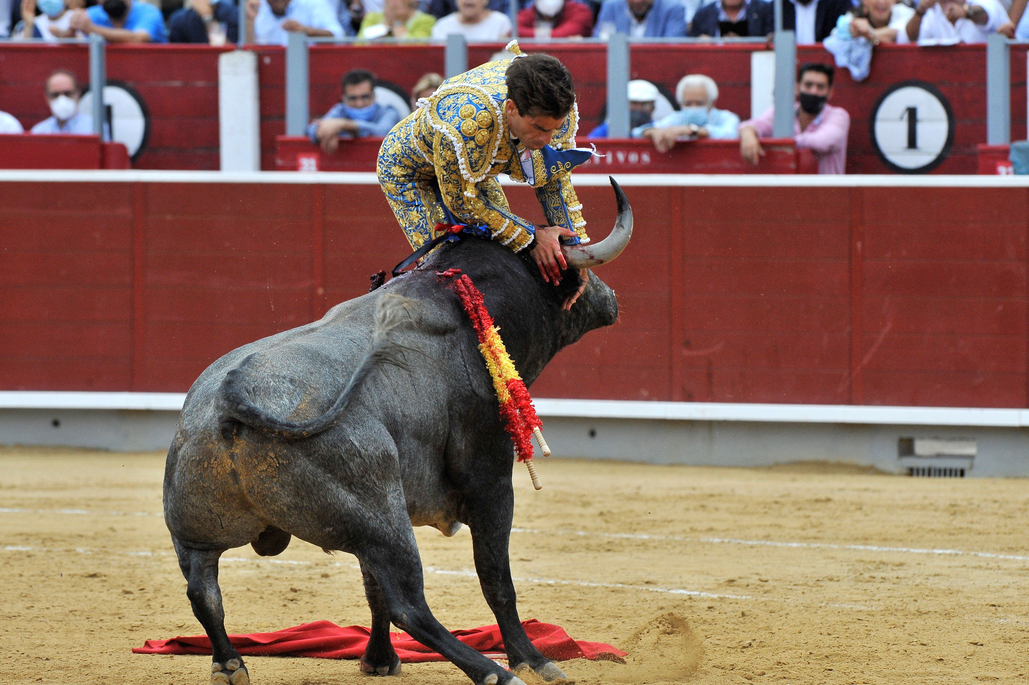 Defensores de la tauromaquia aseguran que la nueva ley aprobada por el Congreso eliminará puestos de trabajo y dañará la economía de diversas ciudades - crédito Manuel Podio / EFE
