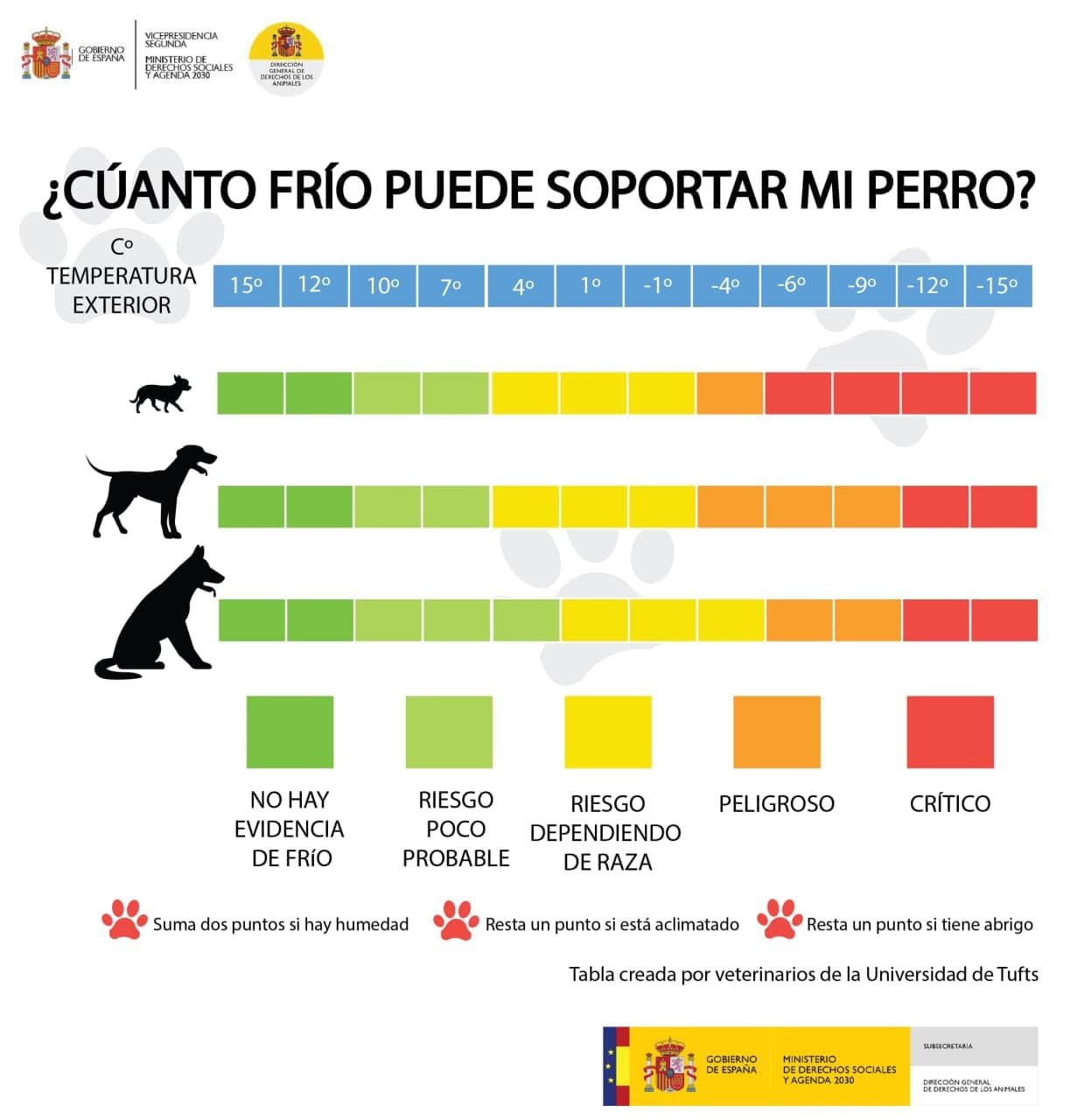 los perros necesitan calor a 49 grados