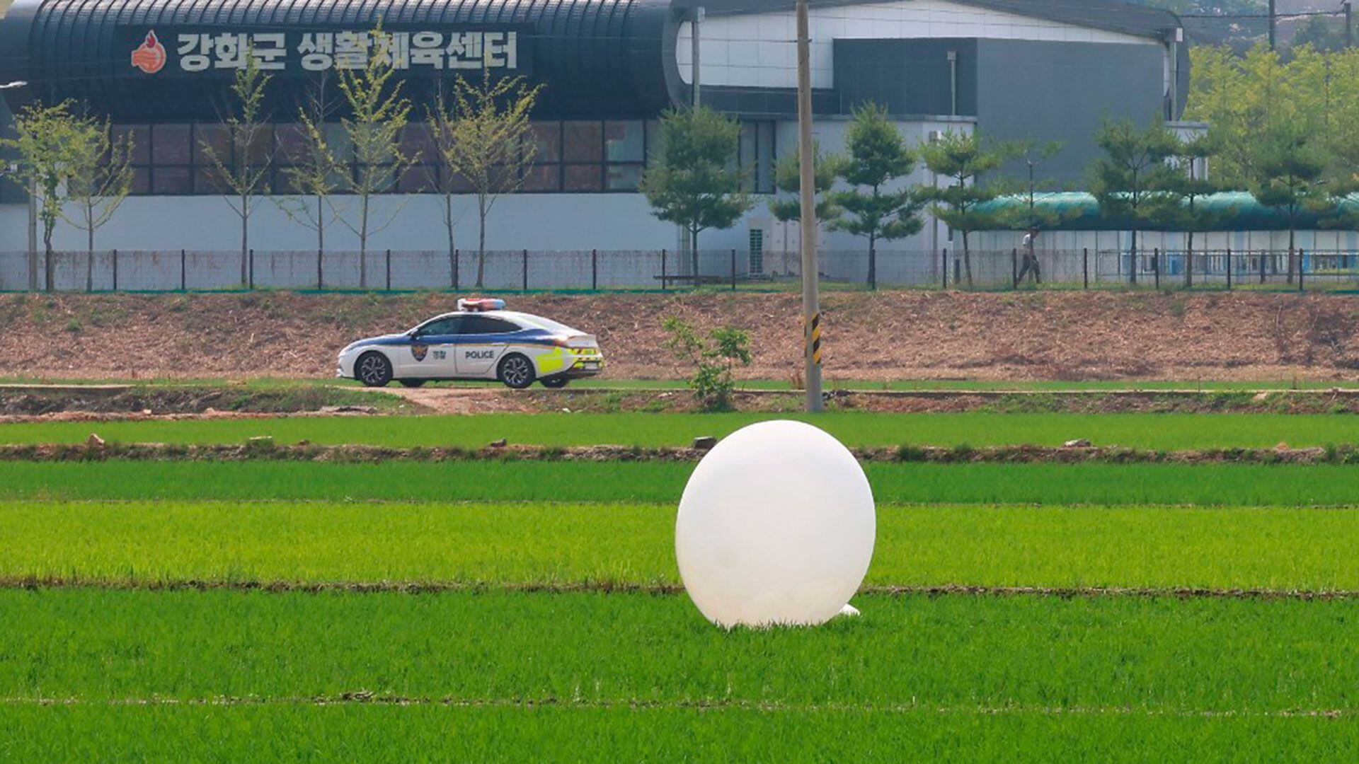 globos Corea del Norte