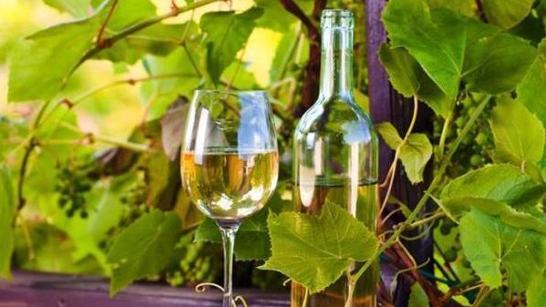 Cómo aumentó el vino según su variedad