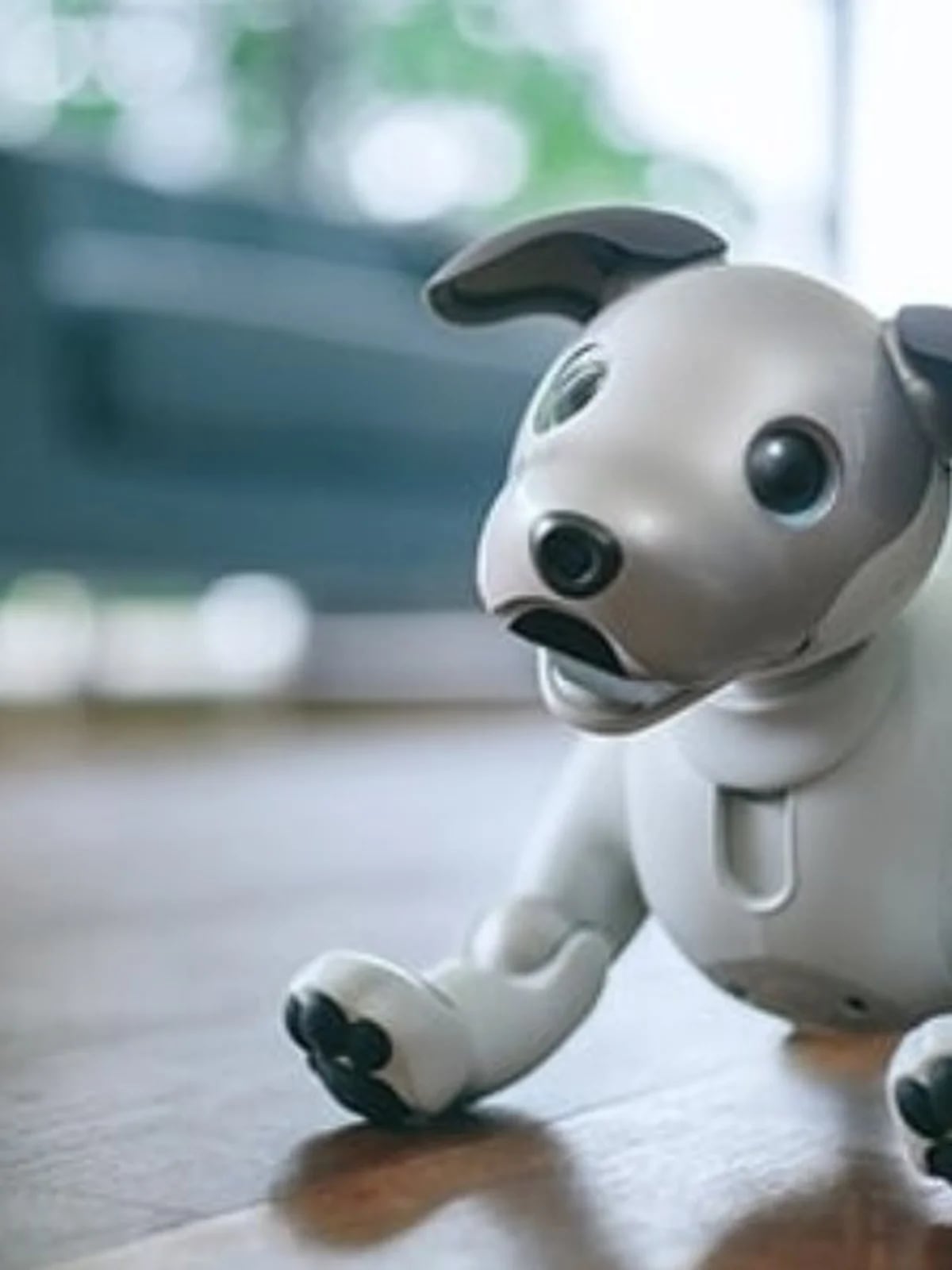 Sony lanzará un perro-robot como alternativa a las mascotas