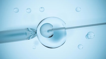     El factor tiempo es una de las variables más difíciles de manejar en fertilidad (Shutterstock)