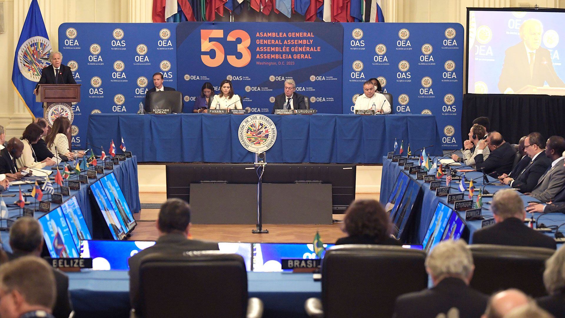 En ninguna sesión de la OEA se planteó una objeción a la denuncia de la carta por parte de la dictadura de Nicaragua (EFE/Lenin Nolly)