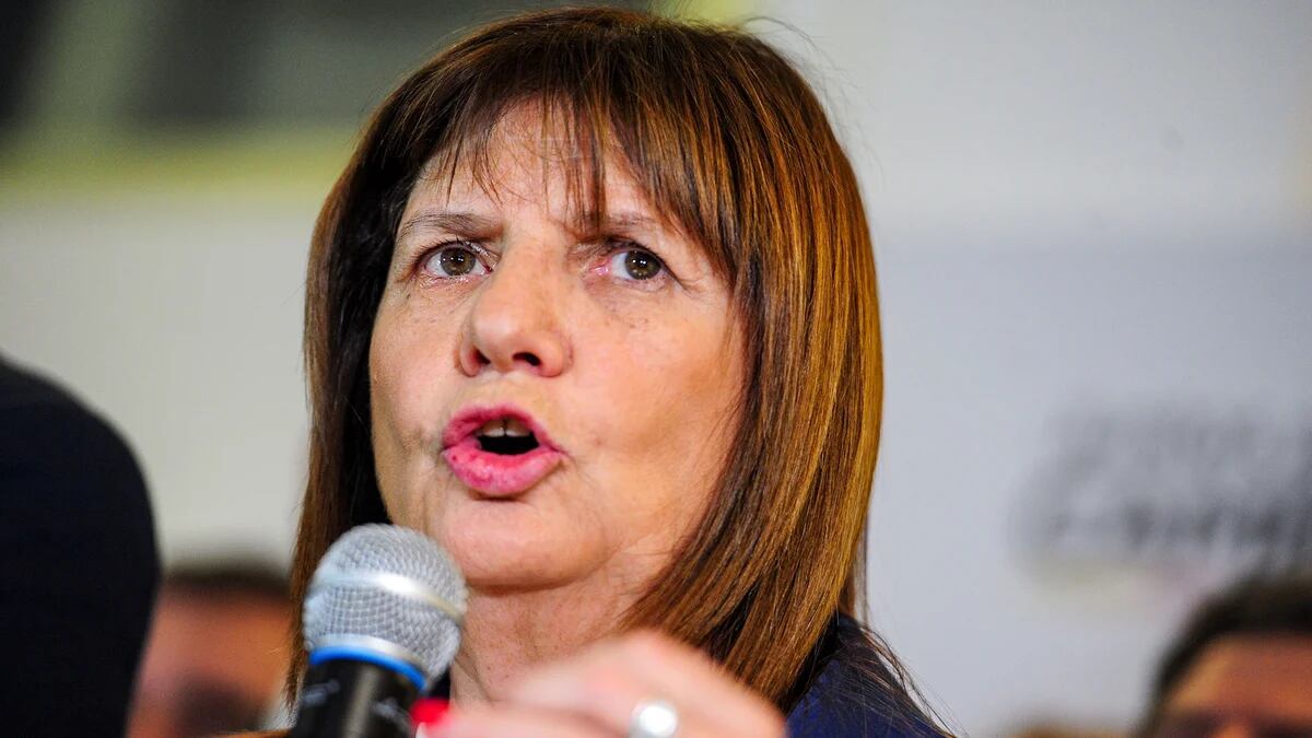 Patricia Bullrich mostró su carnet de Independiente y la objetaron