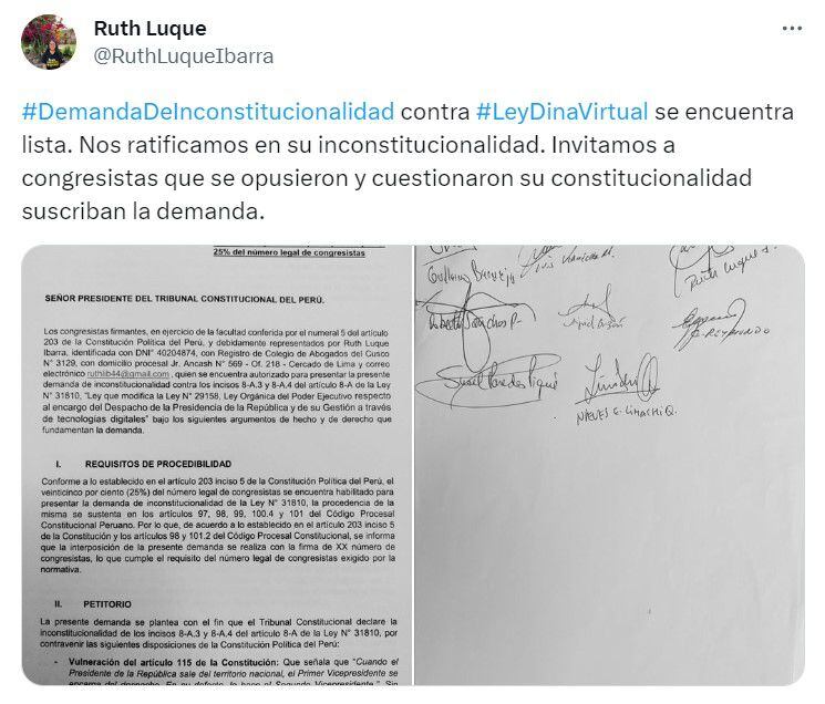 Parlamentaria anunció la recolección de firmas para presentación de demanda ante el TC. | Ruth Luque