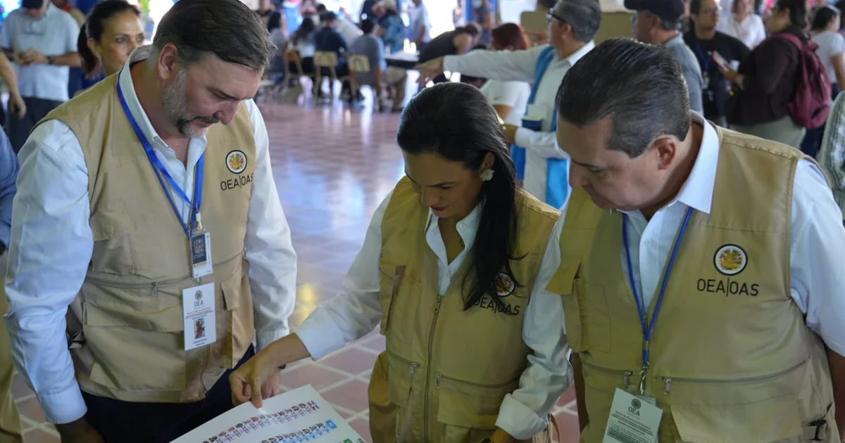 The OAS recognized Bugel's victory, but highlighted that the elections were “conducted in conditions unprecedented for El Salvador”.