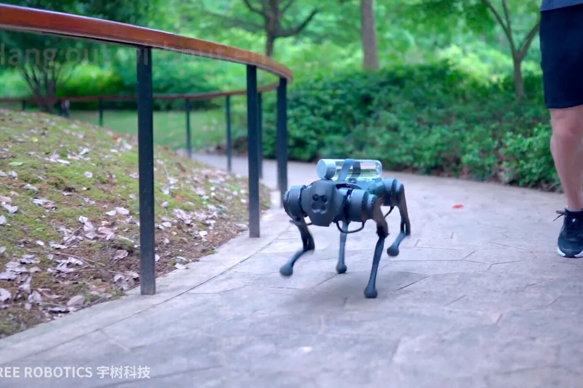 Este perro robótico chino es capaz de moverse en cualquier entorno y  caminar a seis metros por segundo (VIDEO) - RT