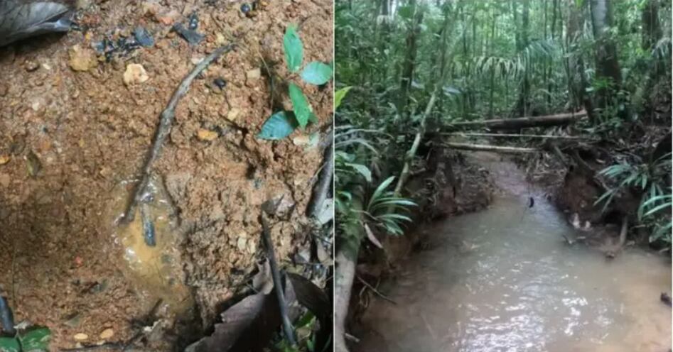 Huellas niños perdidos en la selva  Fuente: La Tercera