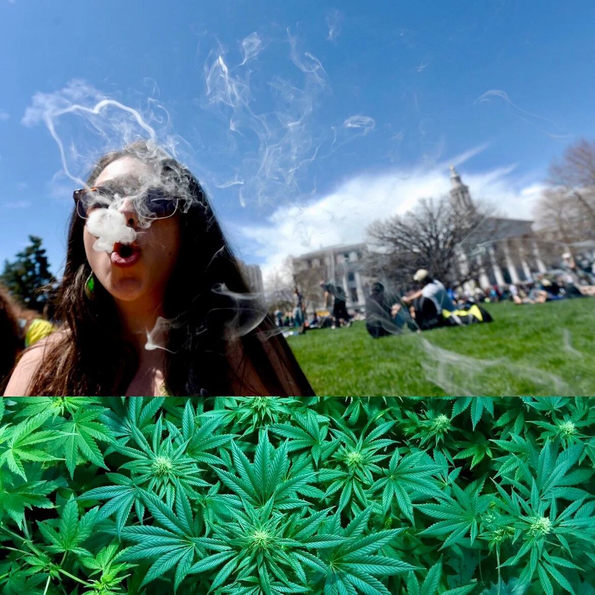 El consumo de marihuana desplazó al tabaco entre los universitarios - LA  NACION