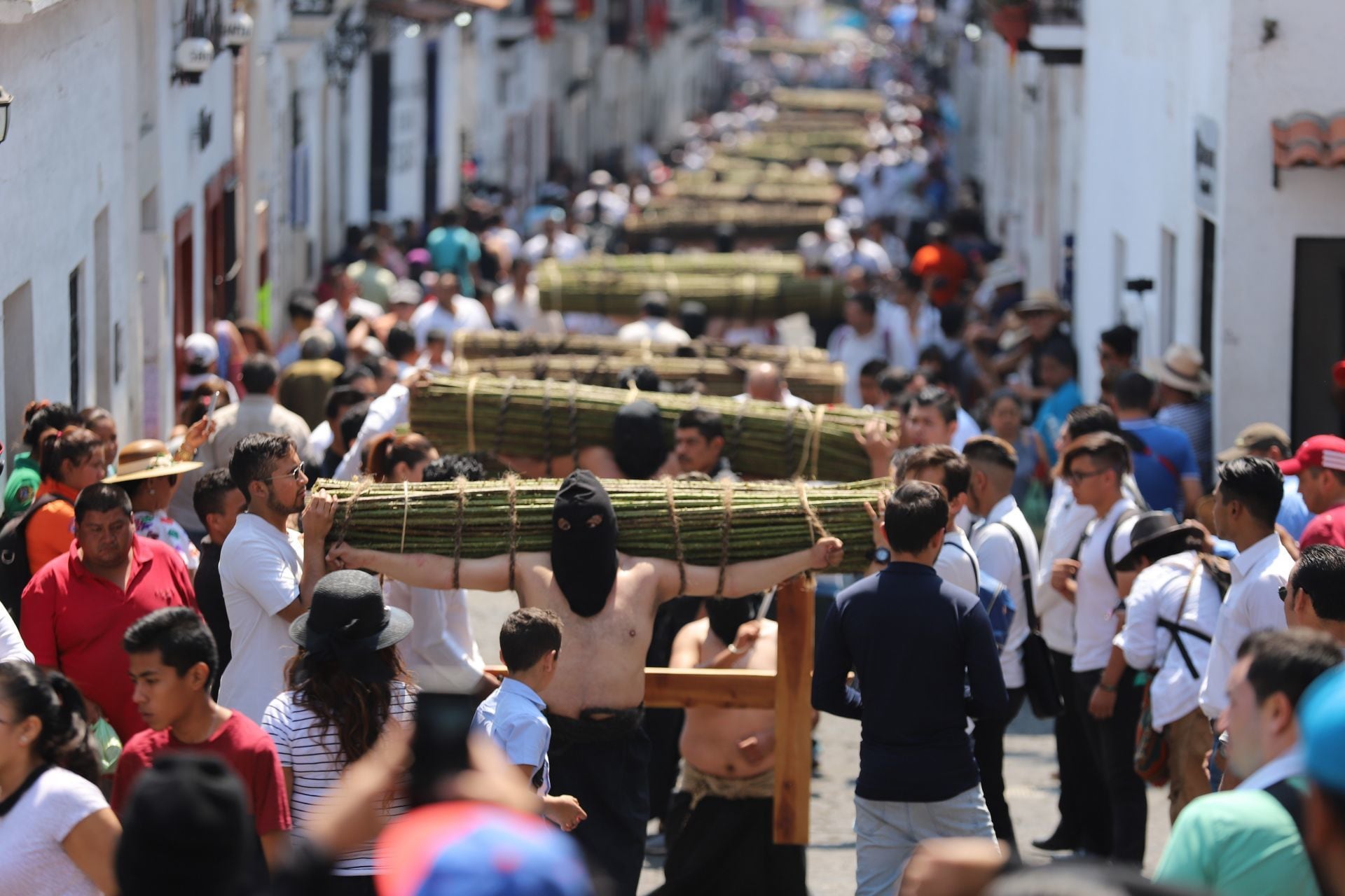 Las varas de zarza son utilizadas por los encruzados, quienes cumplen su penitencia cargándolas. FOTO: BERNANDINO HERNÁNDEZ /CUARTOSCURO.COM