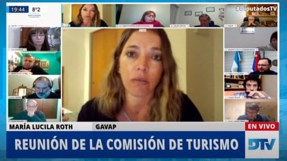 Lucila Roth, que tiene una empresa de turismo en Trelew, no pudo contener las lágrimas en un Zoom con diputados