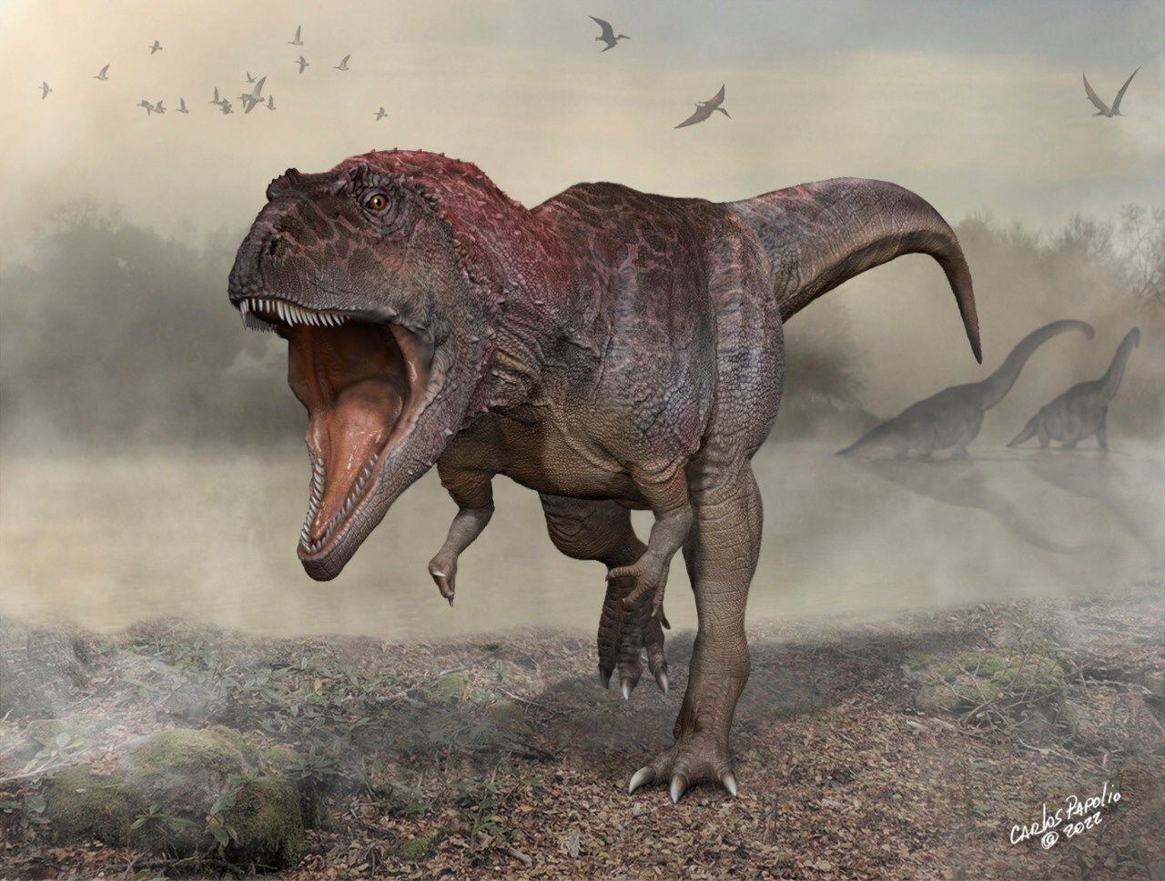 En la misma zona de la Patagonia argentina, los científicos habían encontrado los restos de un dinosaurio carnívoro gigante, que llamaron Meraxes gigas (Carlos Papolio)