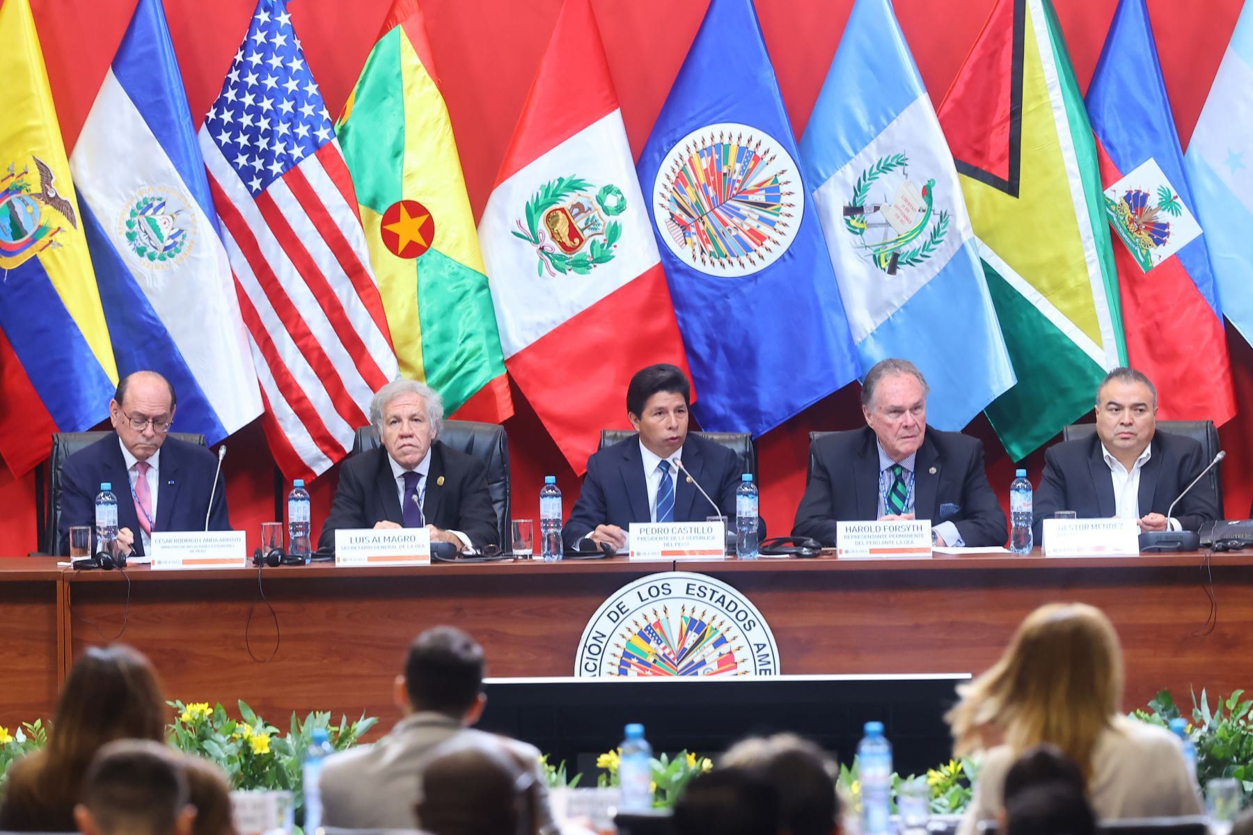 Presidente Pedro Castillo en la OEA (Agencia Andina)