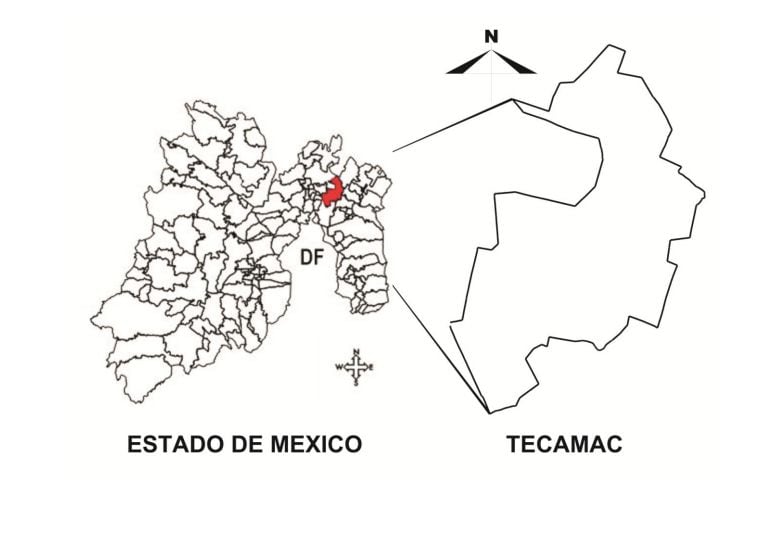 Herkunft von Tecámac