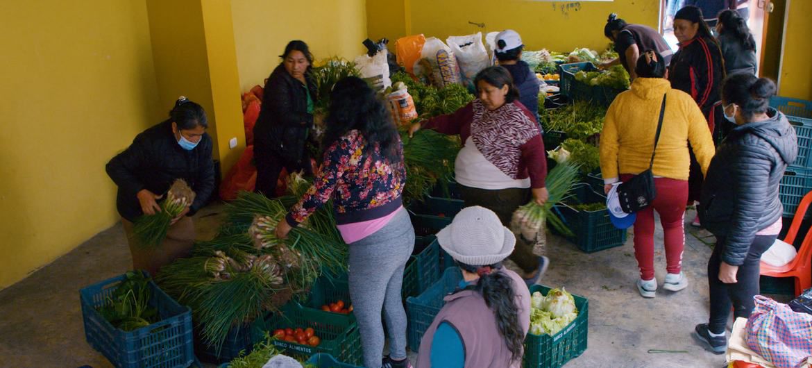 La crisis alimentaria avanza en Perú, más de la mitad de la población carece de comida suficiente, según la FAO. Fuente: Naciones Unidas.