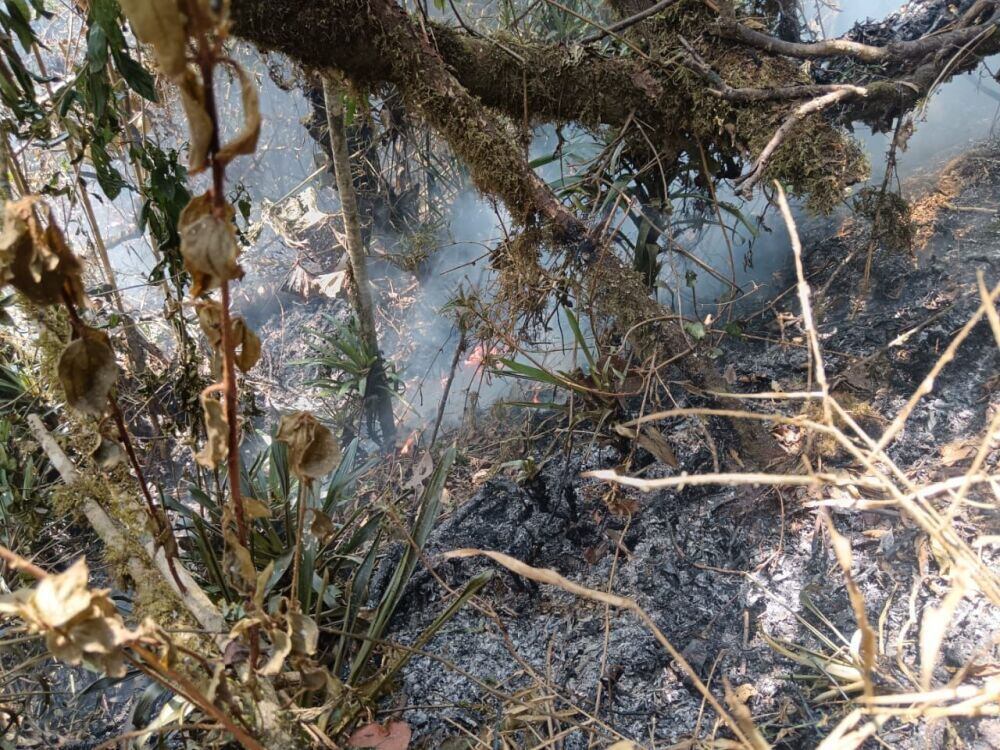 Incendio en Pradera, Valle del Cauca, deja más de 60 hectáreas afectadas-Colombia