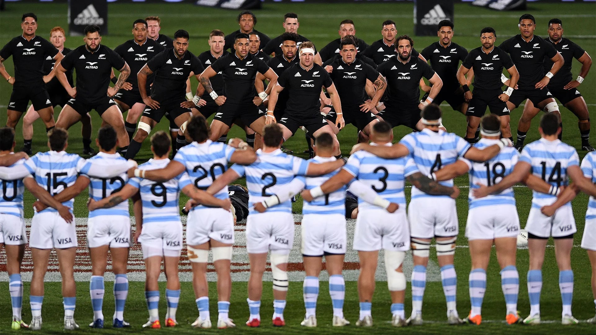 CHRISTCHURCH, NEW ZEALAND - AUGUST 27: New Zealand perform a haka during The Rugby Championship match between the New Zealand All Blacks and Argentina Pumas at Orangetheory Stadium on August 27, 2022 in Christchurch, New Zealand. (Photo by Joe Allison/Getty Images)