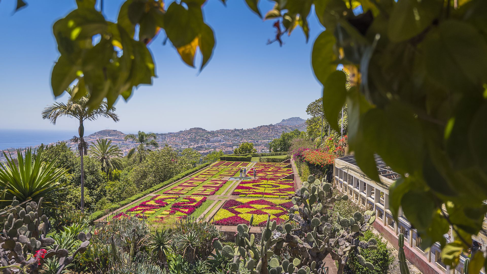 Jardín Botánico de Madeira en Funchal (Visit Madeira)